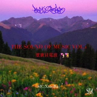 来自春天的歌-坏宝贝电台-THE SOUND OF MUSIC VOL.1