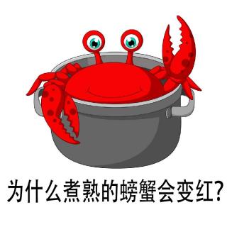《为什么煮熟的螃蟹🦀会变红？》