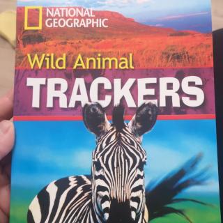 Wild Animal Trackers by Darcy