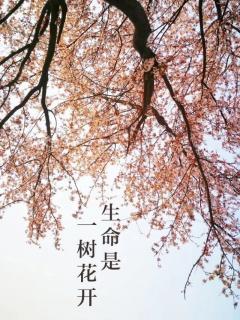 《生命是一树的花开》余秋雨