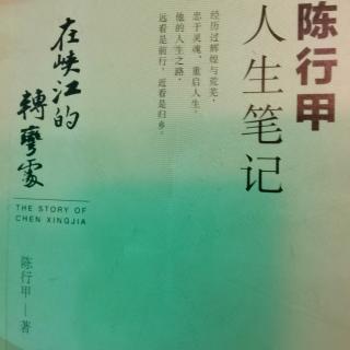 陈行甲人生笔记--第二记：关于我们的事，他们统统猜错（10-11节）