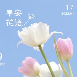 2022.4.17《易经》丰卦至未济卦 第二遍