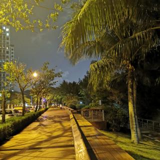 王成祥 三月的那场春雨