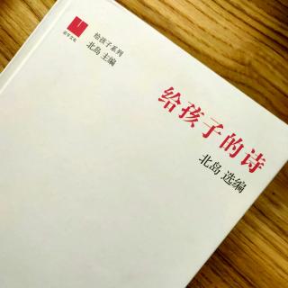 15真理诞生于一百个问号之后