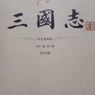 《三国志》任苏杜郑仓传2