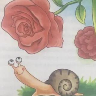 陕Star之声 第四季第18期《蜗牛与玫瑰树》二年级二班李荣轩