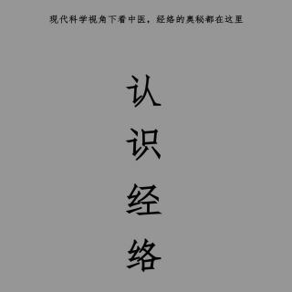 2.经络是什么