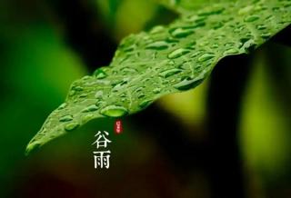 谷雨，告别最后的春天。