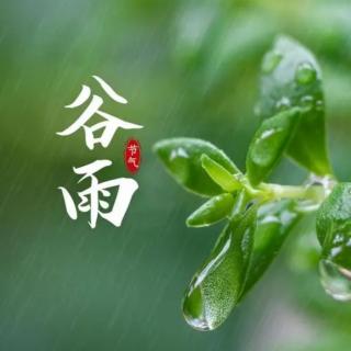 《雨生百谷砥砺奋进正当时》