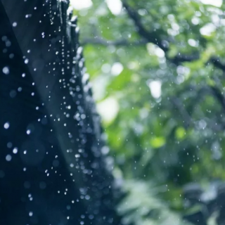 抖音同款，身临其境雷雨声帮助睡眠