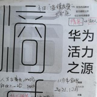 ㊙️光明之矢：华为活力引擎模型10