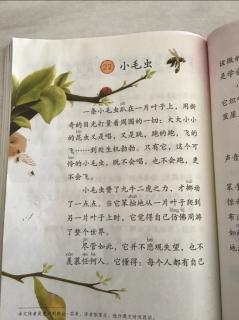 二年级语文下册第96页《小毛虫》