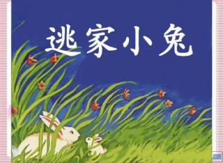 【日照中心园^_^晚安故事128】-逃家小兔