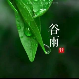 《天地有节——谷雨》作者：黄耀红   朗诵：林阳洪