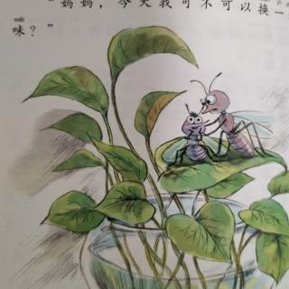 15   蚊子灰灰吃西餐