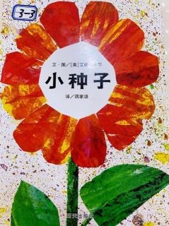 泗洪县长江路幼儿园大八班鲁千千小朋友《小种子》