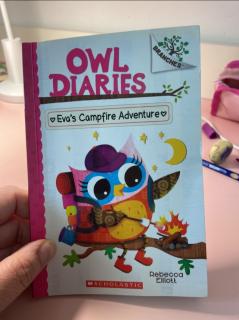 05 lucas owl diaries day5