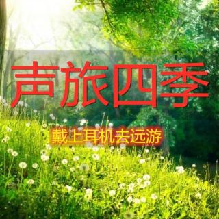 《巷陌人生》节选丨文：白落梅