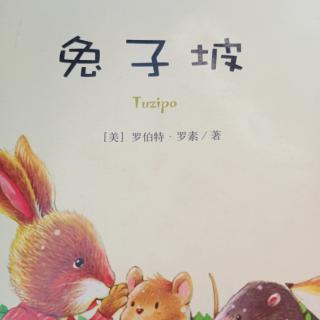 矛盾扩大化，大家丰衣足食，读书笔记和读后感