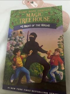 20220422 Magic treehouse book number five night of the ninjas