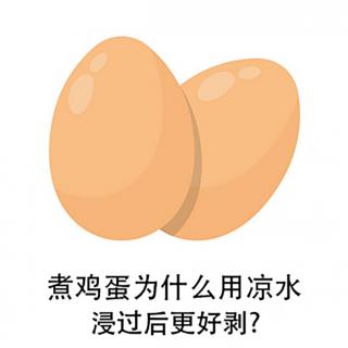 《煮鸡蛋为什么用凉水浸过后更好剥？》