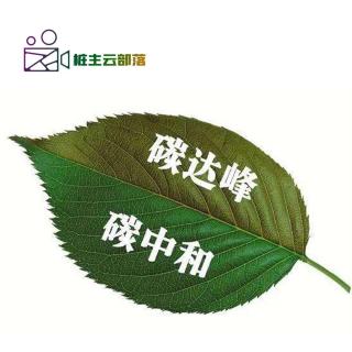 云上有知识-未来零碳技术的突破方向