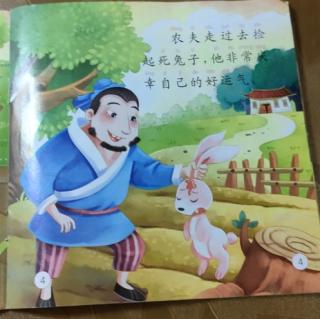 《守株🌳待兔🐰》