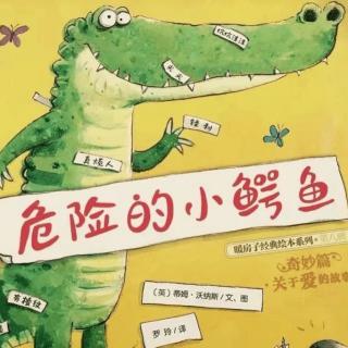 绘本故事《危险的小鳄鱼🐊》