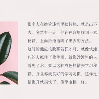 老板和女员工厮混，最后破产沦为杂工的故事