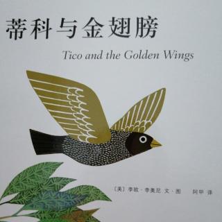 蒂科和金翅膀