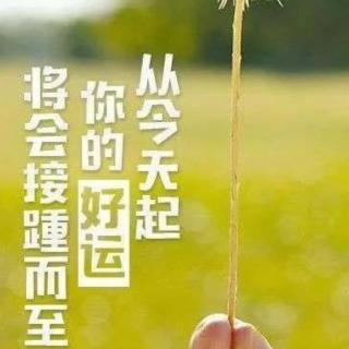 《与汪节夫》《心书 跟着书院学经营》