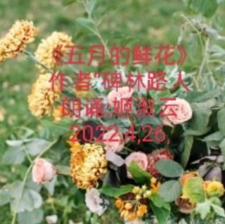 姬淑云朗诵《五月的鲜花》作者:碑林路人~20224,26.