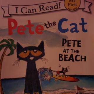 Pete the cat Pete at the beach