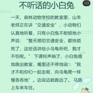 《不听话的小兔》