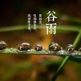 【文艺听澜】雨生百谷