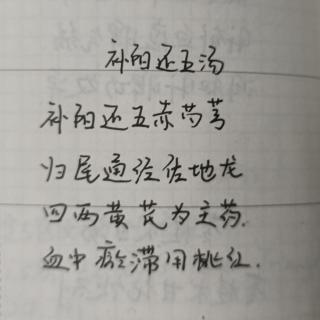 补阳还五汤