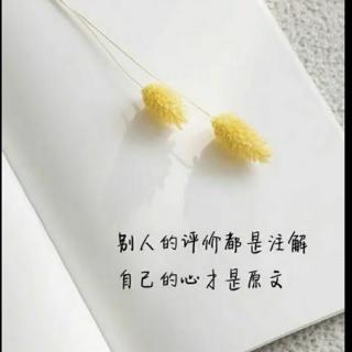 品读:林徽因写给徐志摩的分手信