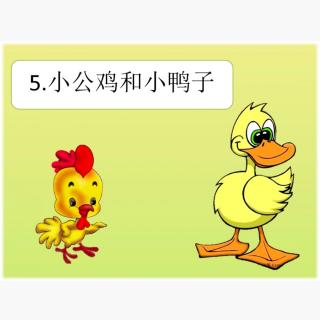 课文5——小公鸡和小鸭子