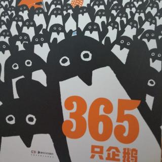 365只企鹅