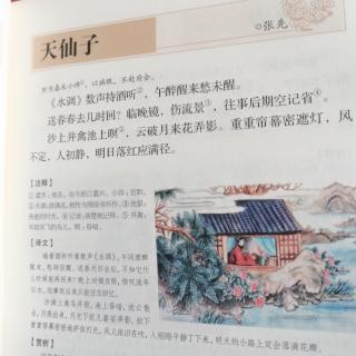 张先《天仙子·水调数声持酒听》