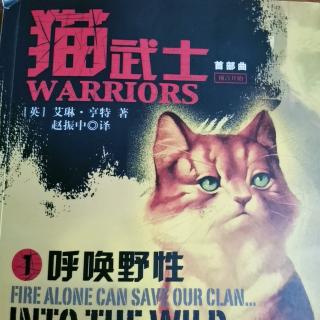 猫武士之《呼唤野性》第三章上