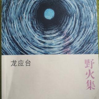 《新的“野火”，从哪里开始》——写给二十一世纪的大学生