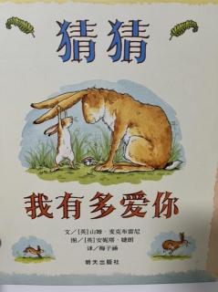 《猜猜我有多爱你》