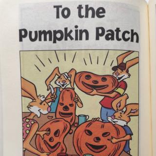 To the pumpkin patch