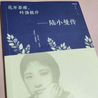 柯兰为你读书《陆小曼》3★贪欢