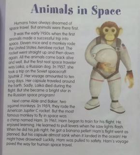 Animals in Space