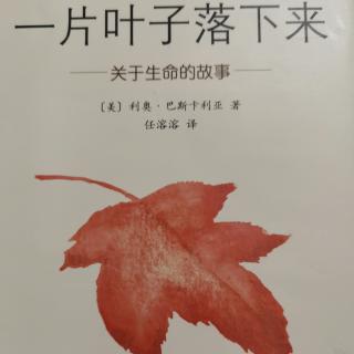 一片叶子落下来