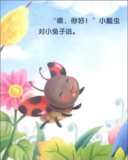 《小瓢虫的故事》——聪明泉幼儿园江老师