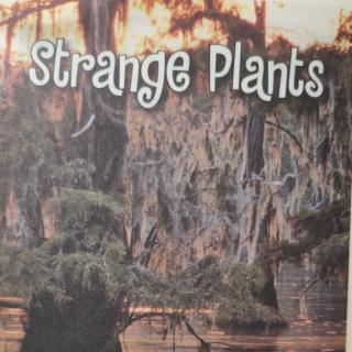 Strange Plants