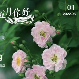 2022.5.1《易经》系辞传下 第二遍